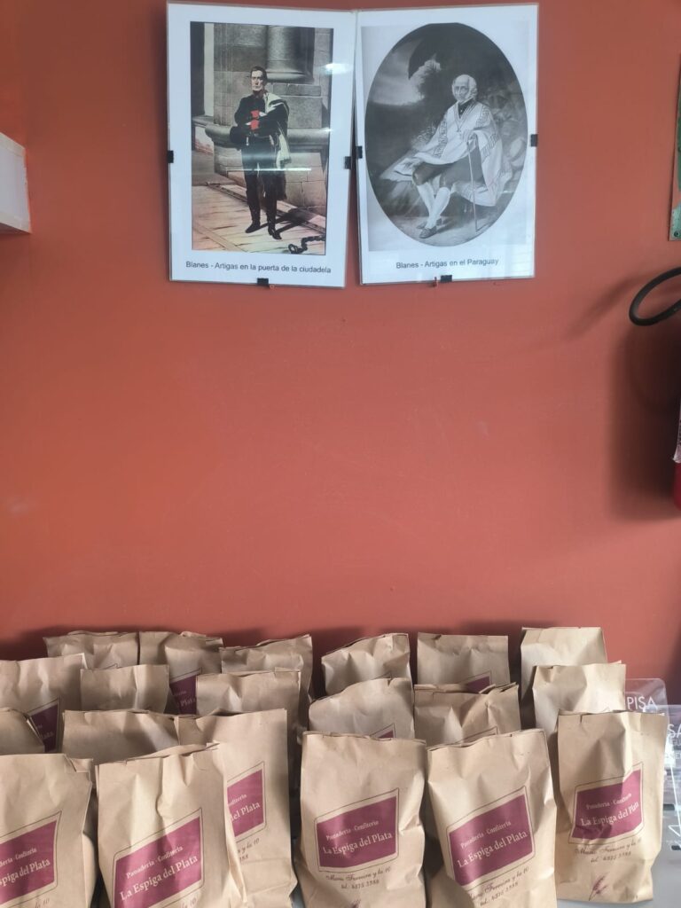 WhatsApp Image 2025-08-29 at 17.17.07