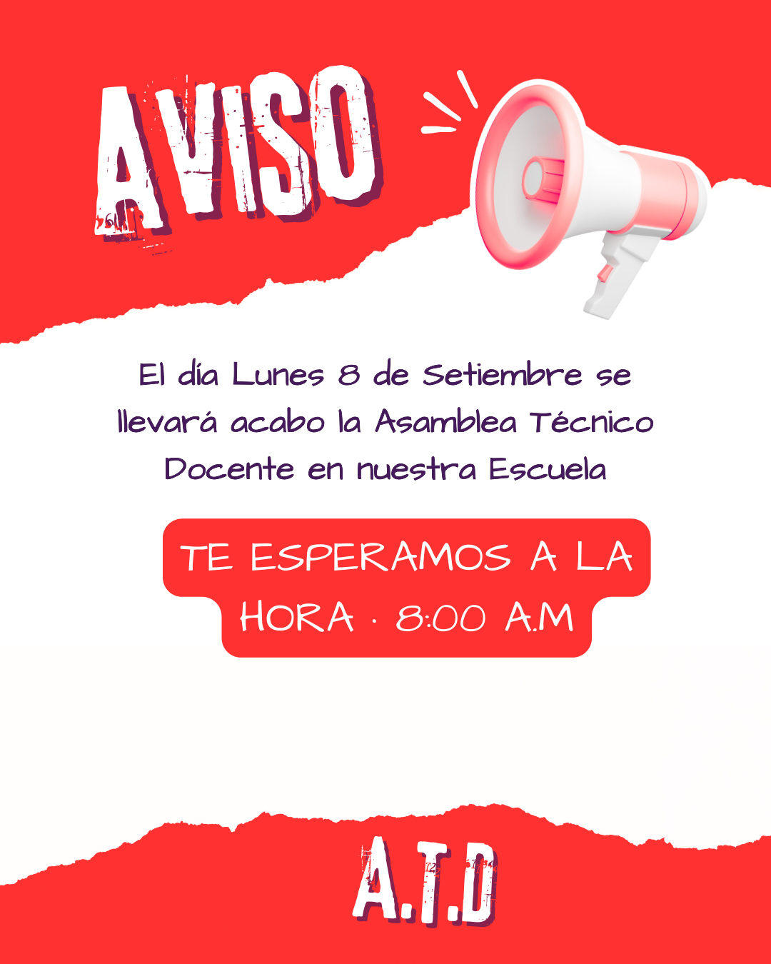 Post de Instagram Aviso Día de la Mujer Collage Morado