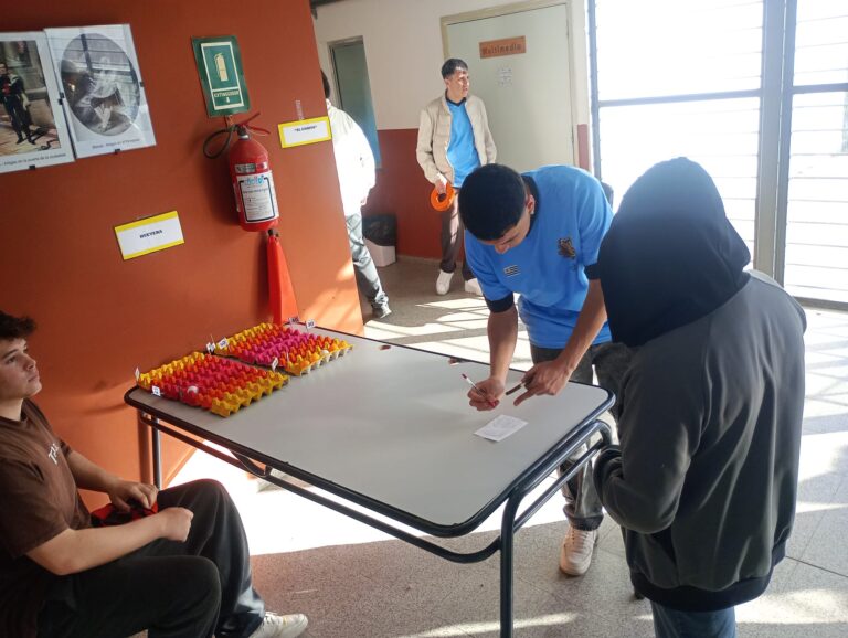 WhatsApp Image 2025-10-29 at 16.11.03 (1)