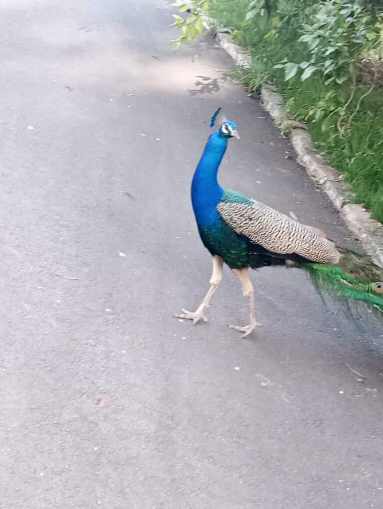 WhatsApp Image 2025-10-29 at 16.13.24 (2)