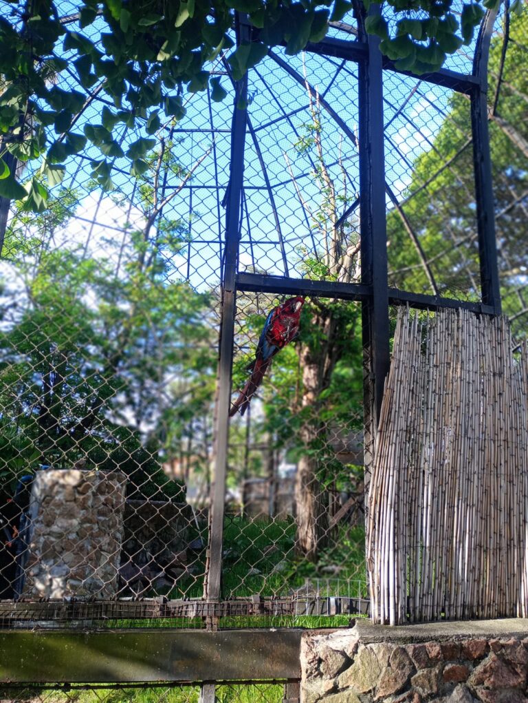 WhatsApp Image 2025-10-29 at 16.13.24