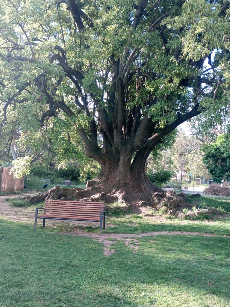 WhatsApp Image 2025-10-29 at 16.13.25 (1)