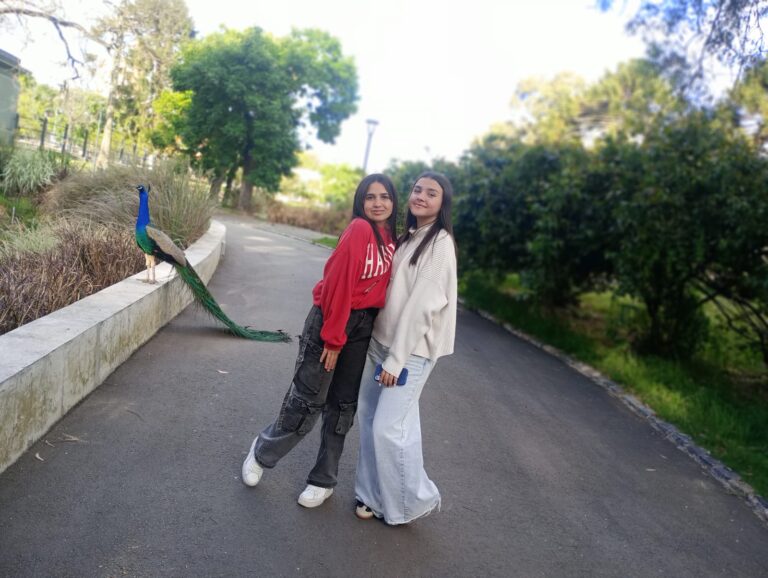 WhatsApp Image 2025-10-29 at 16.13.26