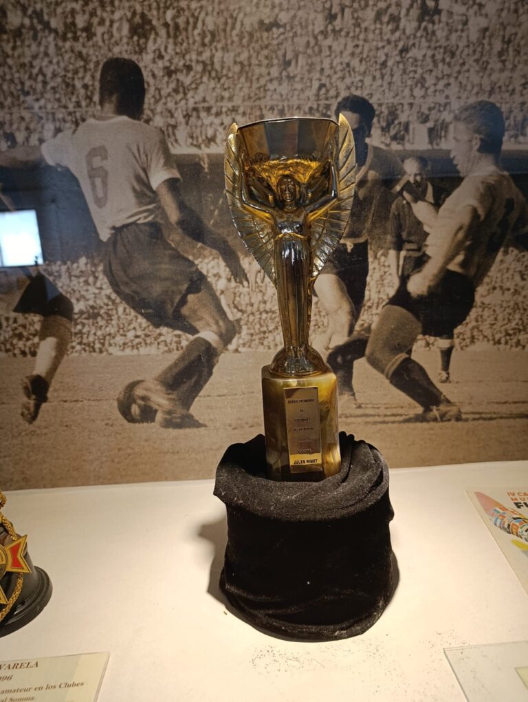 WhatsApp Image 2025-10-29 at 16.13.30